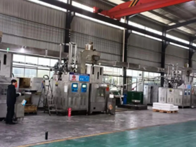 gstp1 (3)
